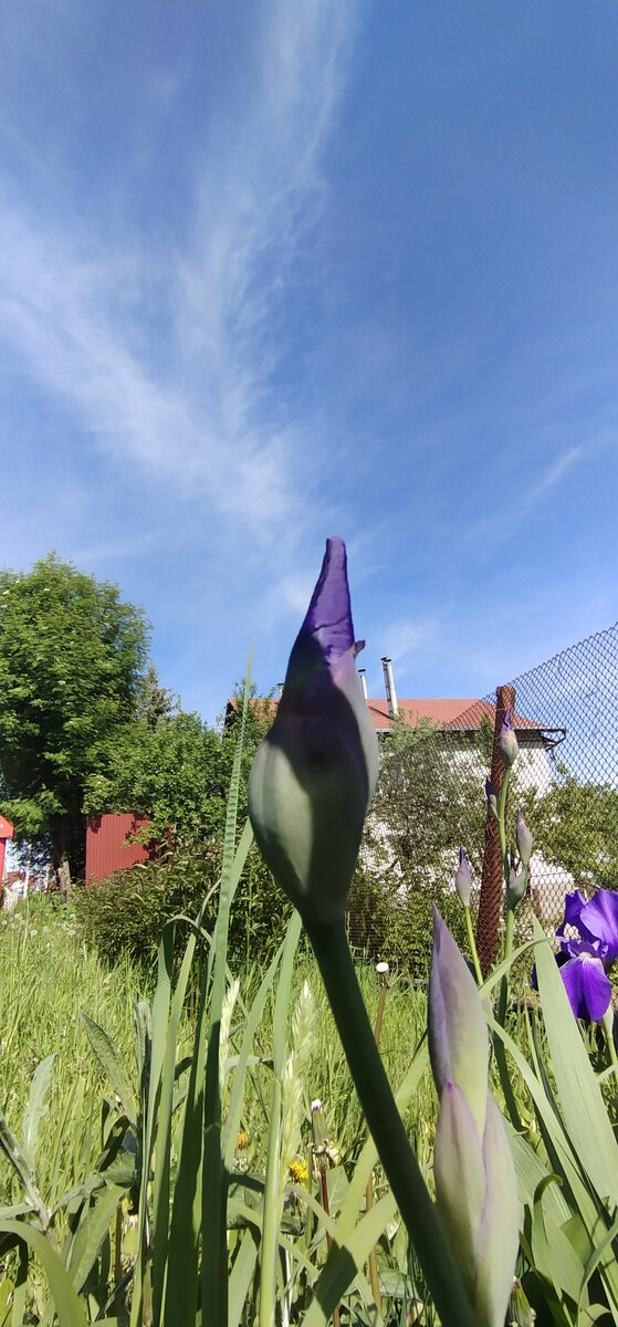 Личное фото