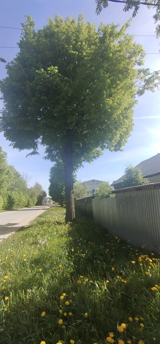 Личное фото