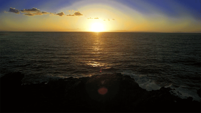 Фото: Яндекс картинки