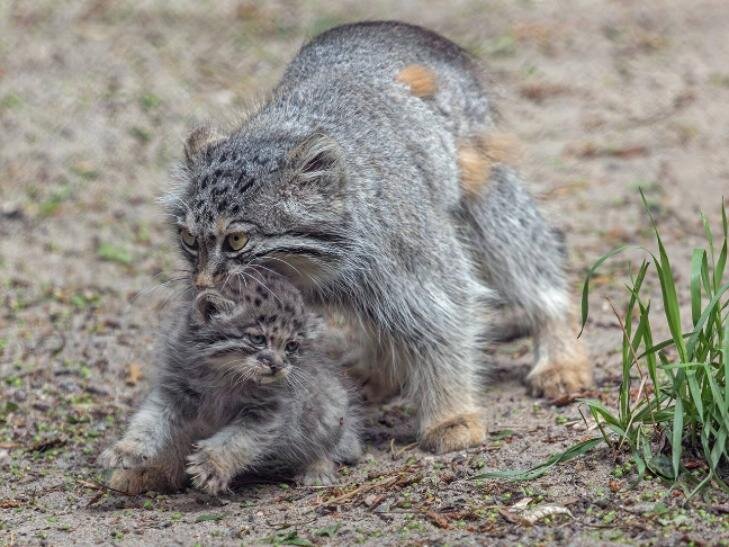    Фото В. Габова