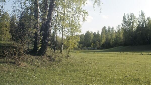    © Sputnik / Б. Елин