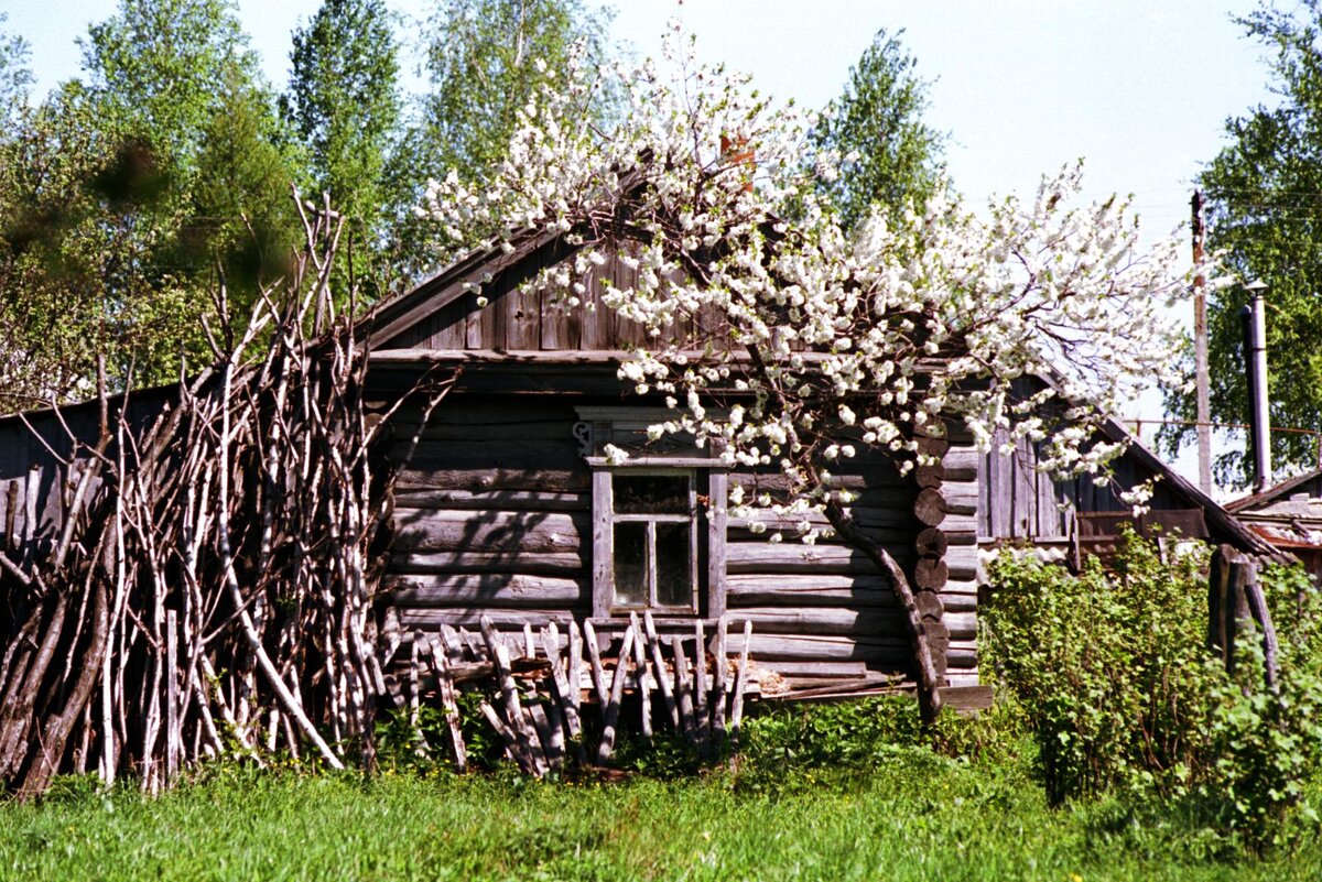 С погонялом