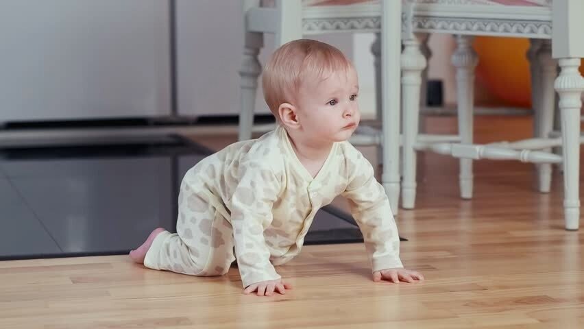 Картина из открытого источника сети Интернет.