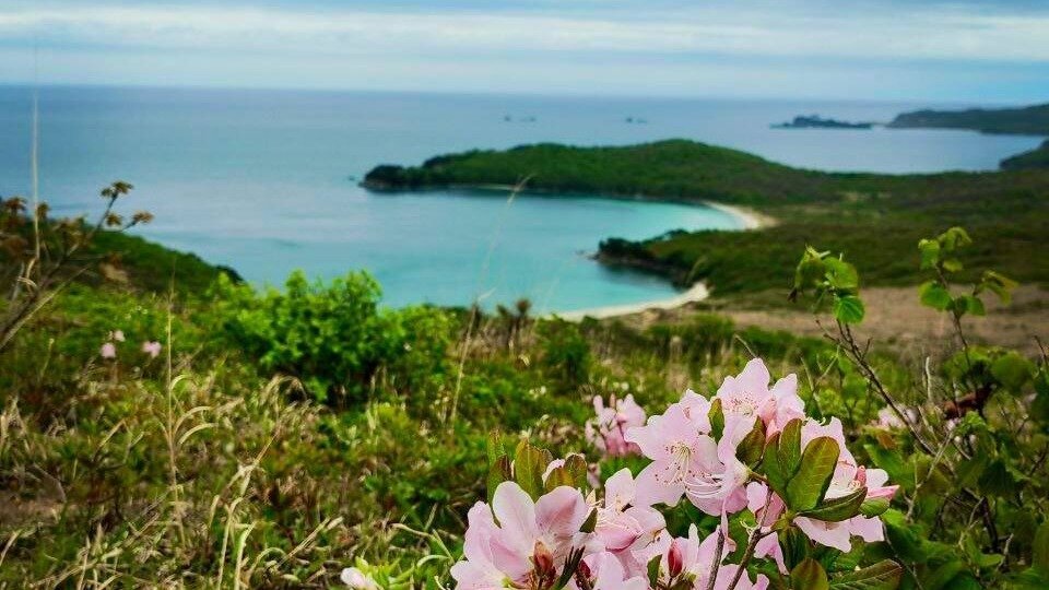     Источник: amurleo_land