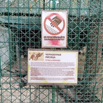 Фото: Уральское межрегиональное управление Россельхознадзора
