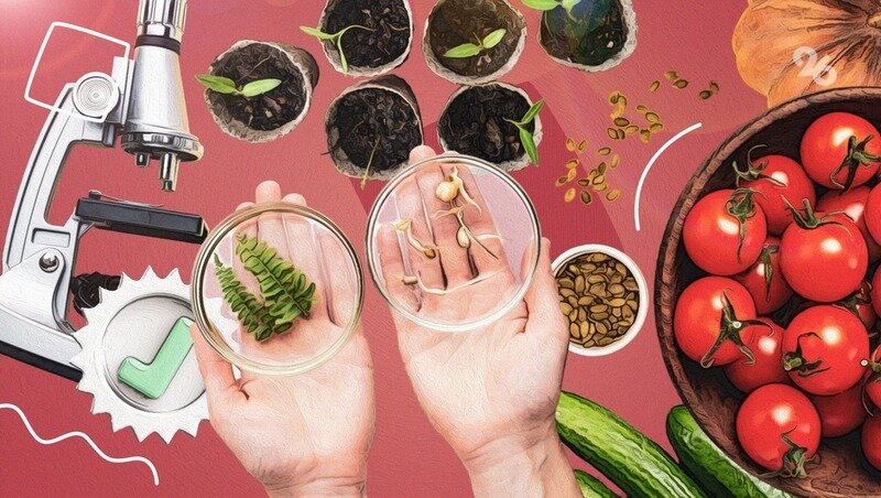      Фото: ИА «Победа26»