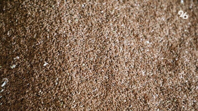    У семян есть срок годности, и лучше брать те, что более свежие Фото: ИА «Победа26»