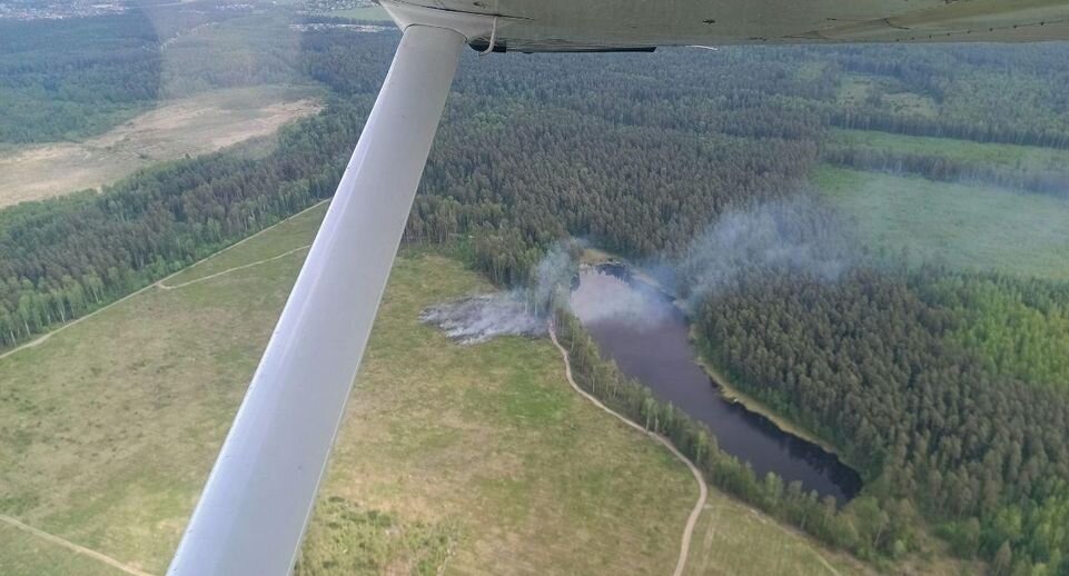    Комитет лесного хозяйства хозяйства Московской области