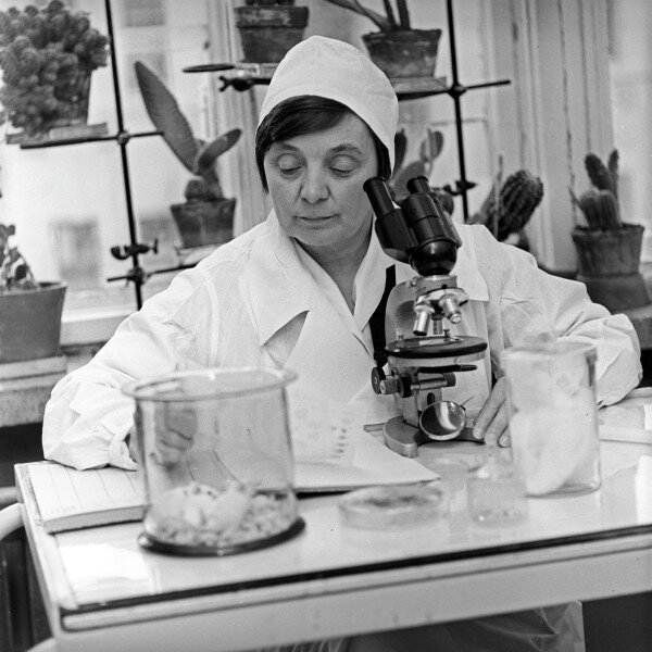 Фото: РИА Новости/ Д. Чернов