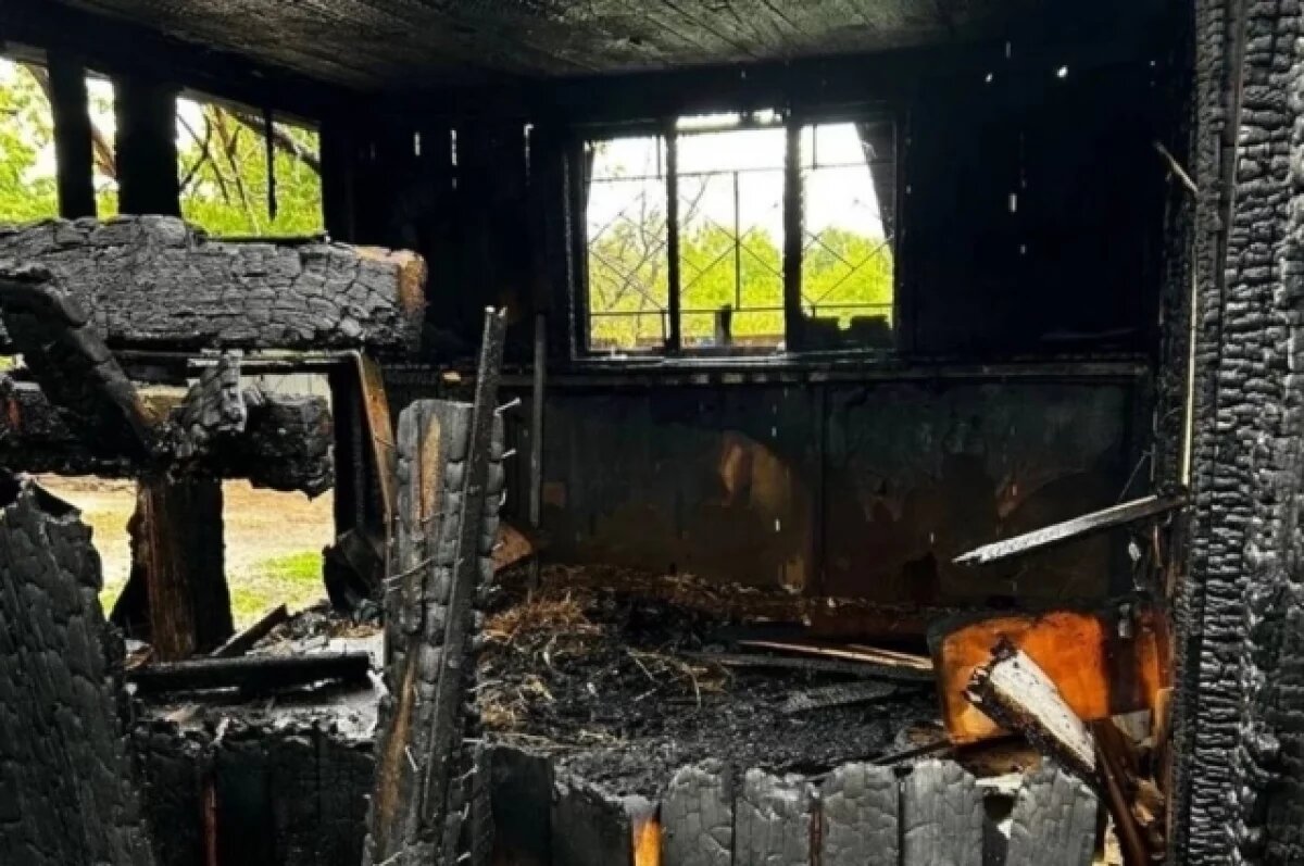    Под Уфой сгорел приют для бездомных собак «Добрые руки»