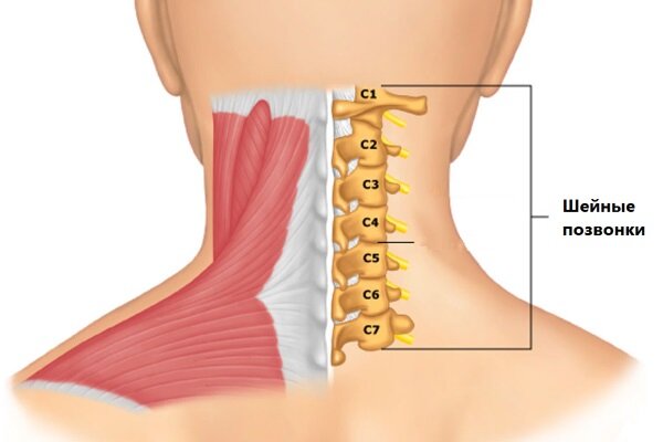 Травмы шеи