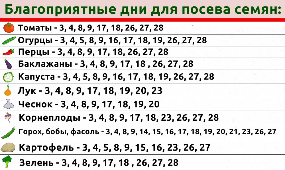 Лунный посевной календарь на октябрь 2024