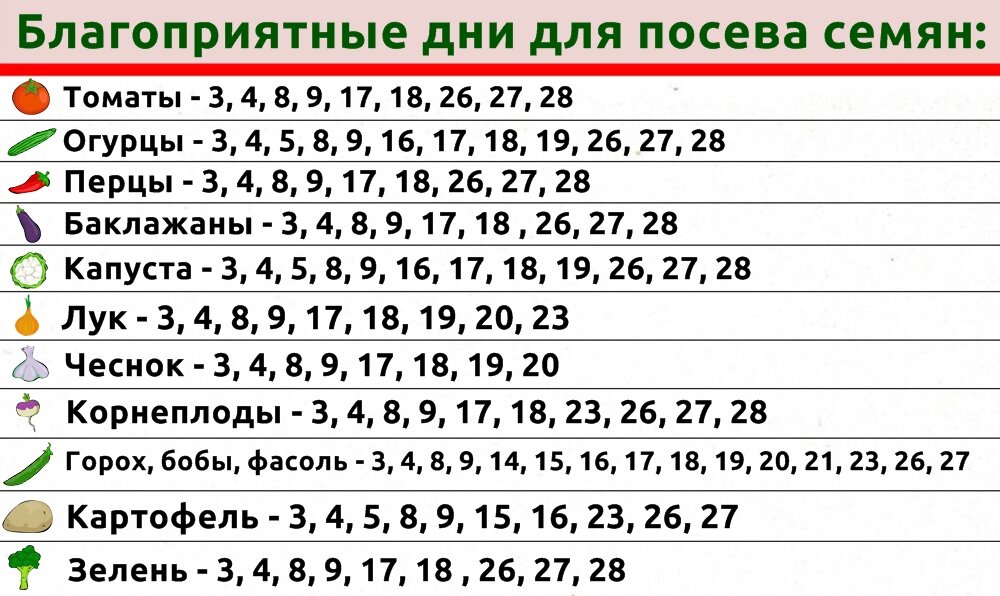 Календарь посадок на октябрь 2024 год