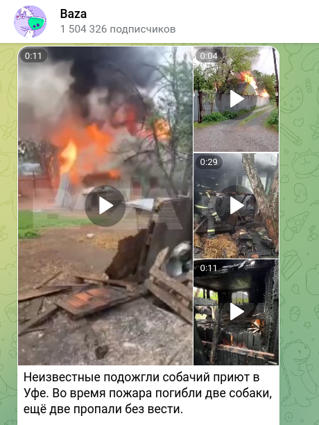    Скриншот t.me/bazabazon