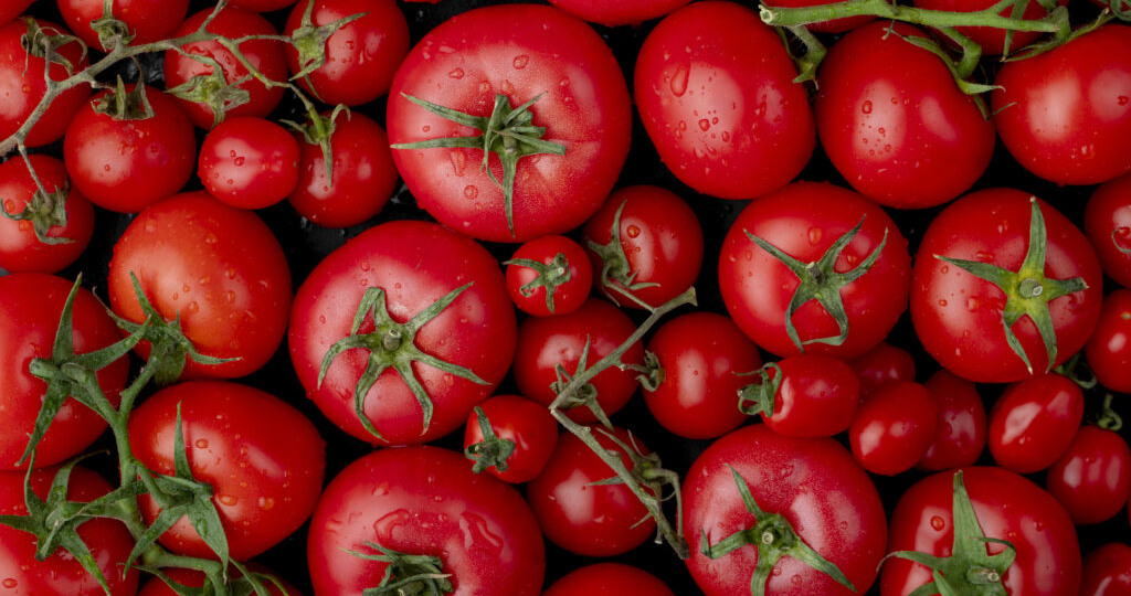 Агроном Березин назвал сорта томатов, которые нет ребуют тщательного ухода