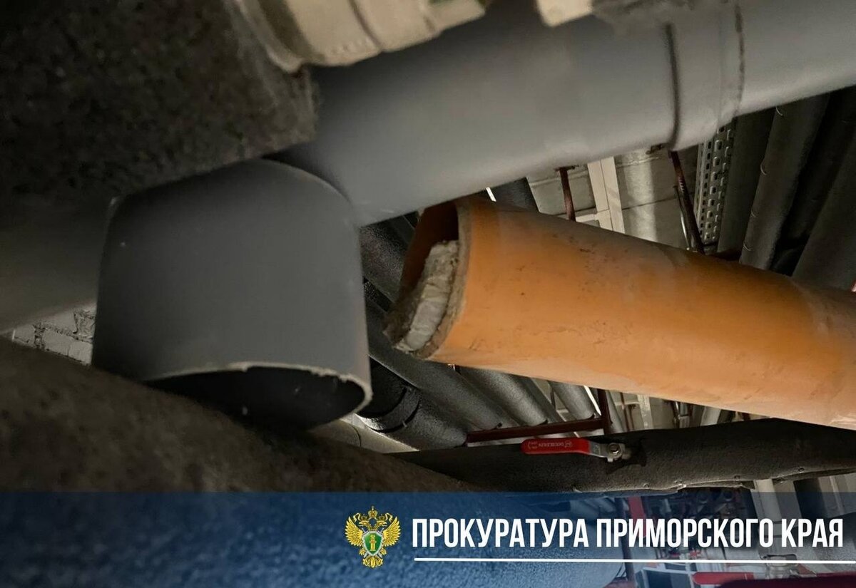     Источник: prosecutor_pk