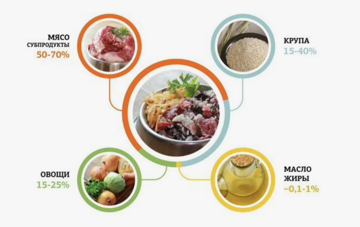 Рацион для собак