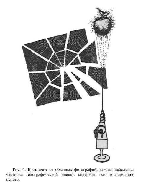 Иллюстрация из книги. Глава "Топографическая модель мозга - ключ ко многих загадкам"