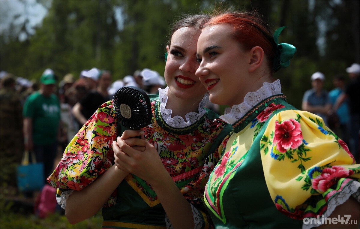 Фоторепортаж: как в Ленобласти прошел «Всероссийский день посадки леса» |  Online47.ru | Дзен