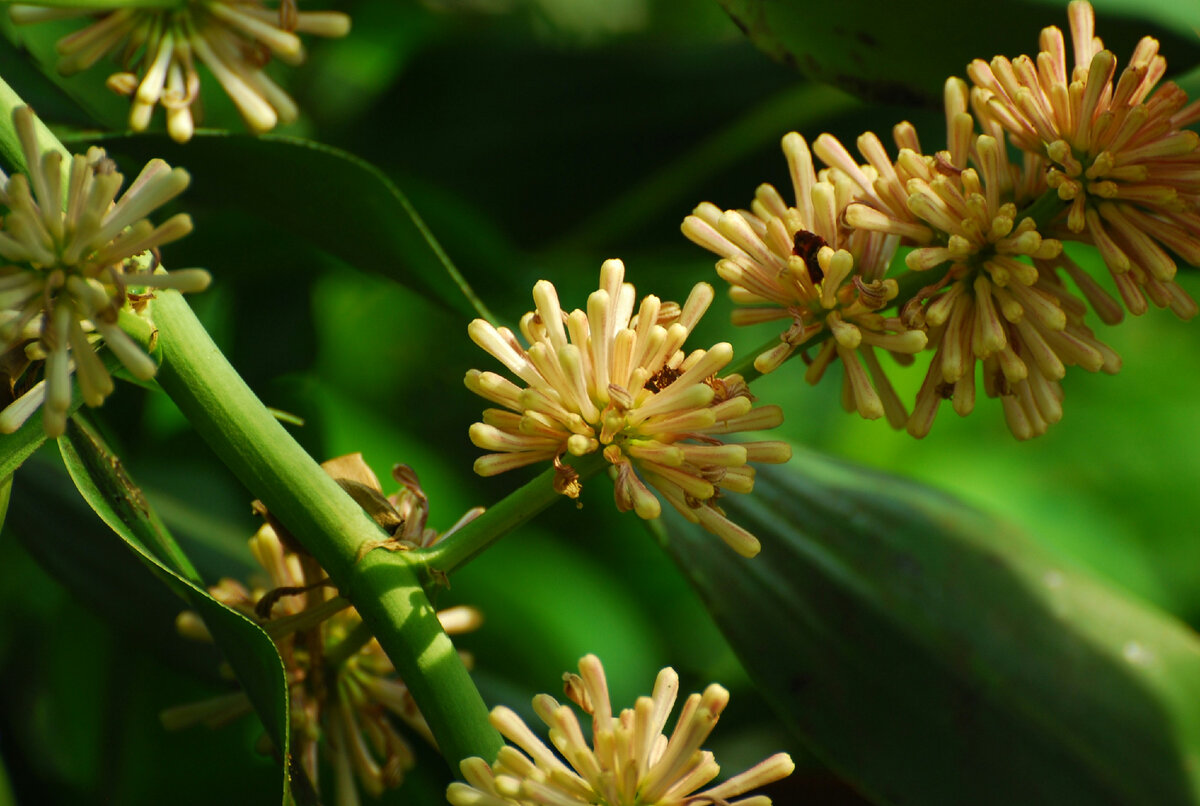 Картинка с бесплатного фотостока https://unsplash.com, автор rminedaisy