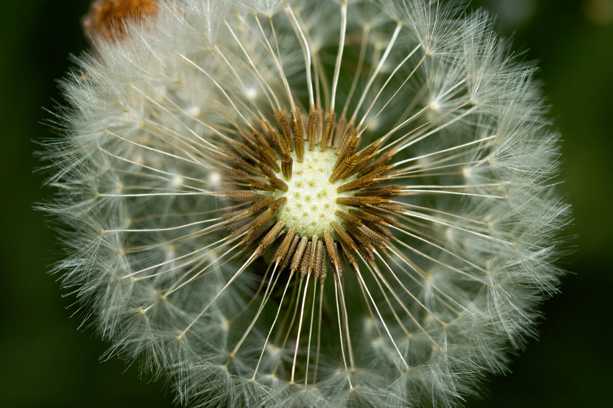 Картинка с бесплатного фотостока https://unsplash.com, автор Олександр К
