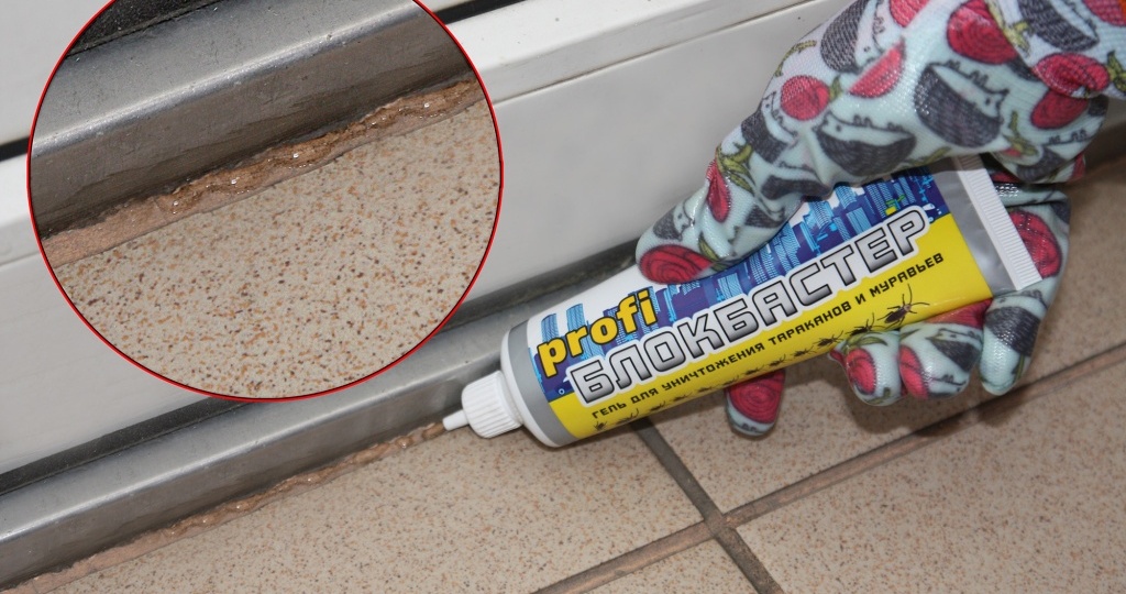 Борьба с тараканами — многолетний сериал или блокбастер?