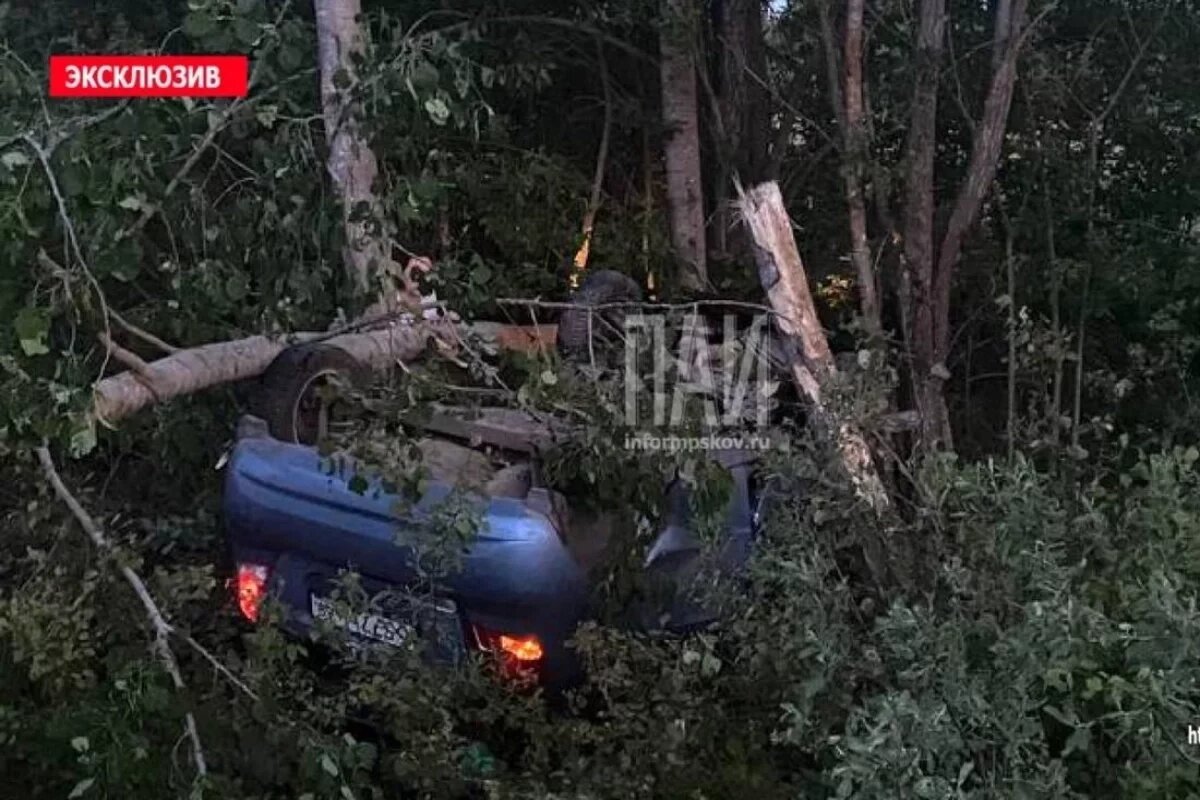    Под Псковом пьяный водитель вылетел в кювет и оказался зажат в машине