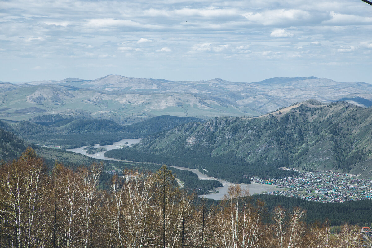 Но виды, всё равно, радуют глаз. Просто случайное фото с канатки.