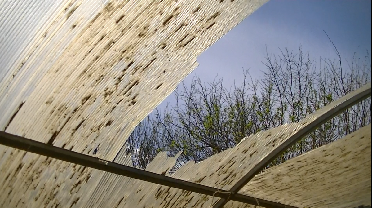 Вот такие дыры образовались к весне.