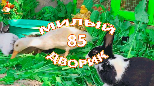 Милый дворик серия 85