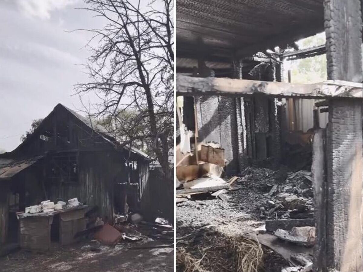    Место пожара в приюте для животных в Башкирии© Добрые руки - помощь бездомным животным г. Уфа/ВКонтакте