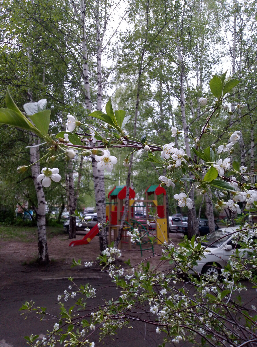 фото автора 