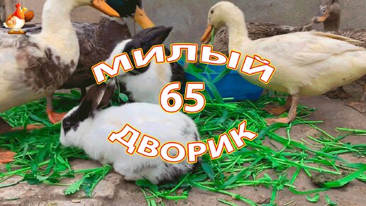 Милый дворик серия 65