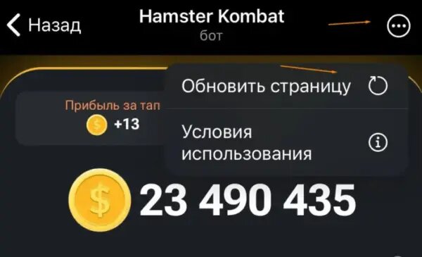 Хамстер комбо