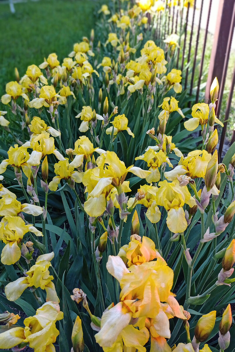 В галере два фото - листайте