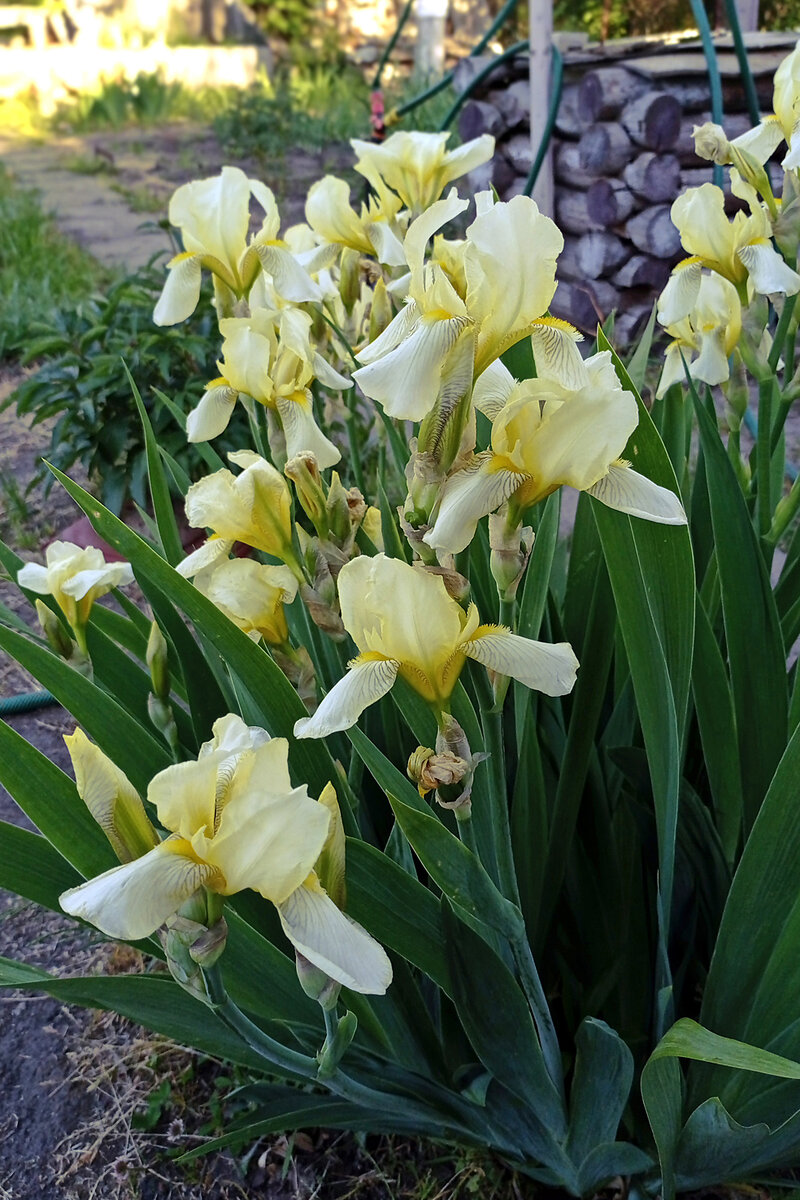 В галере два фото - листайте