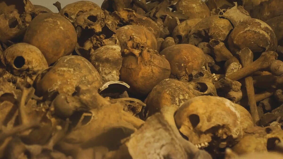     Источник: 1MI