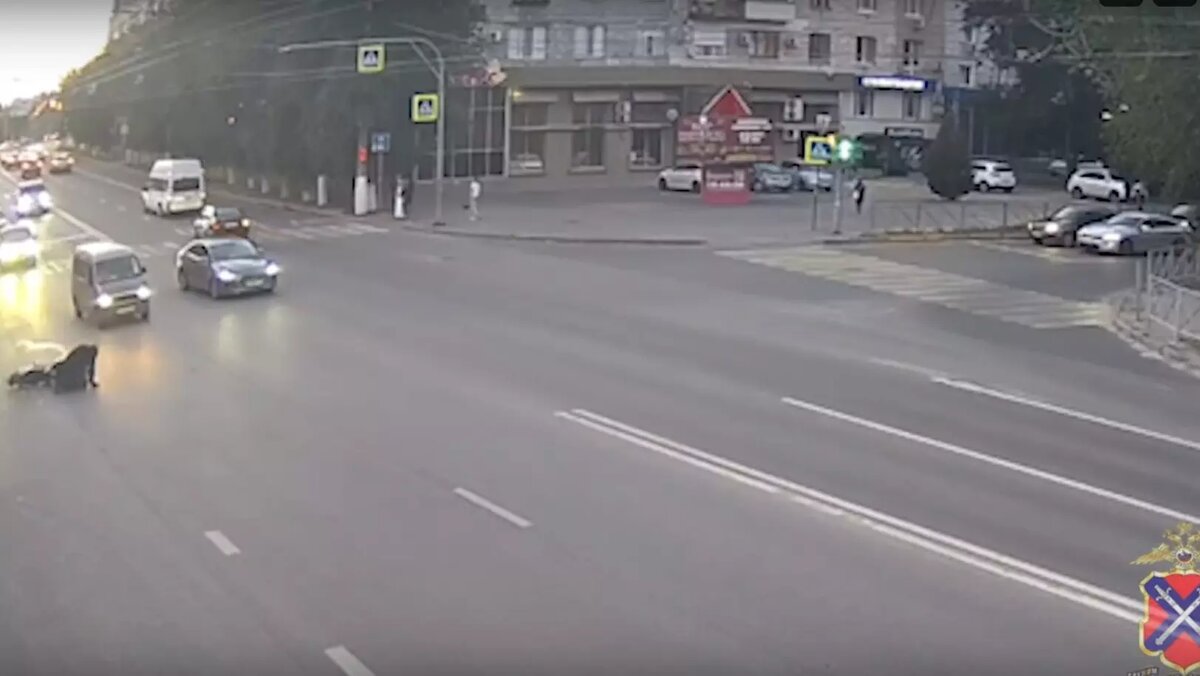     Источник: ГУ МВД по Волгоградской области