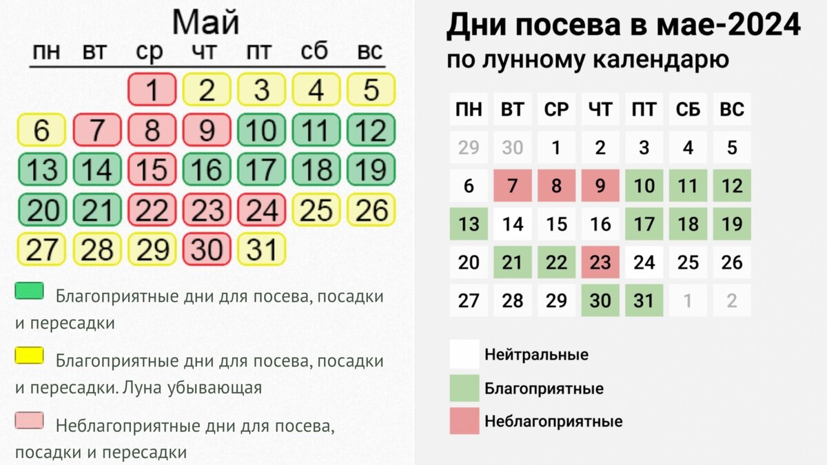 Abc people лунный календарь 2025 Лунный календарь садовода - полезность или обман У-Дачная жизнь Дзен