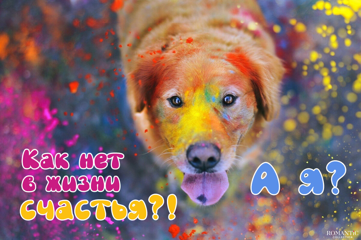 Красивые статусы о счастье