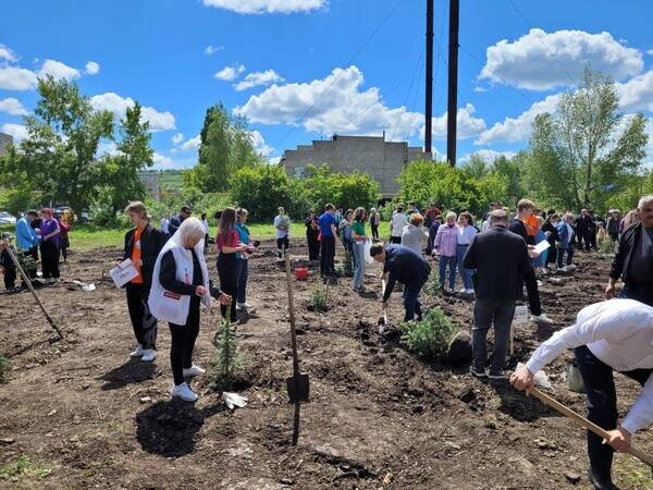    В Кувандыке открыли Парк памяти героев СВО. Автор проекта — ученица 10-го класса