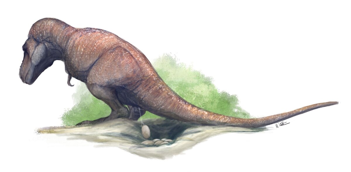 Гнездящийся тираннозавр.