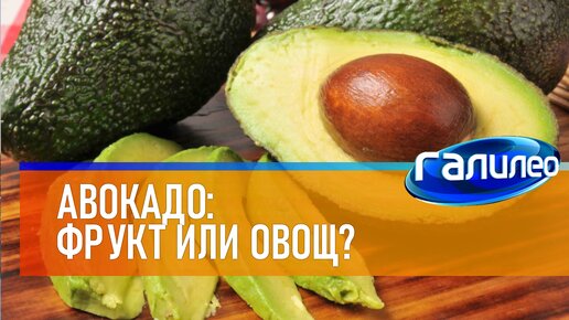 Галилео 🥑 Авокадо: фрукт или овощ?