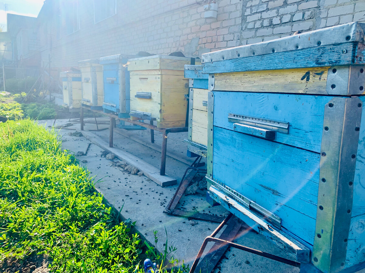 Крайний вечер перед выездом 