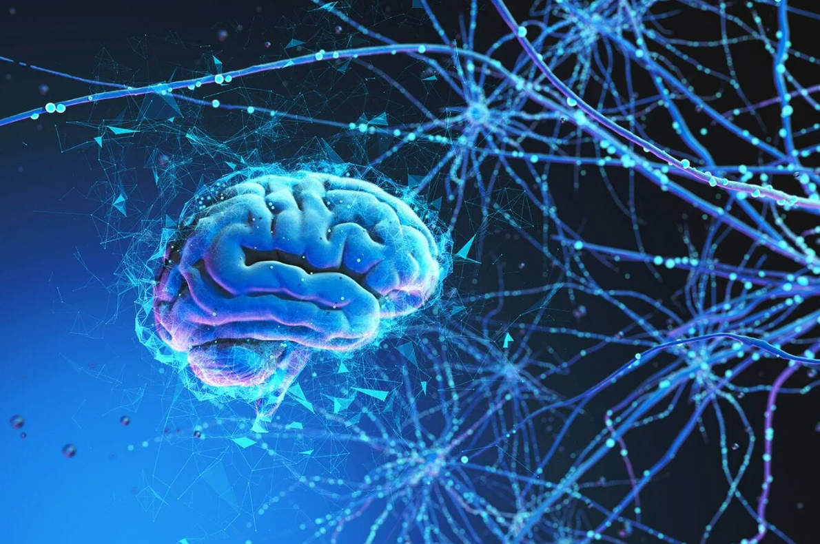 Картинка из свободных источников интернета 