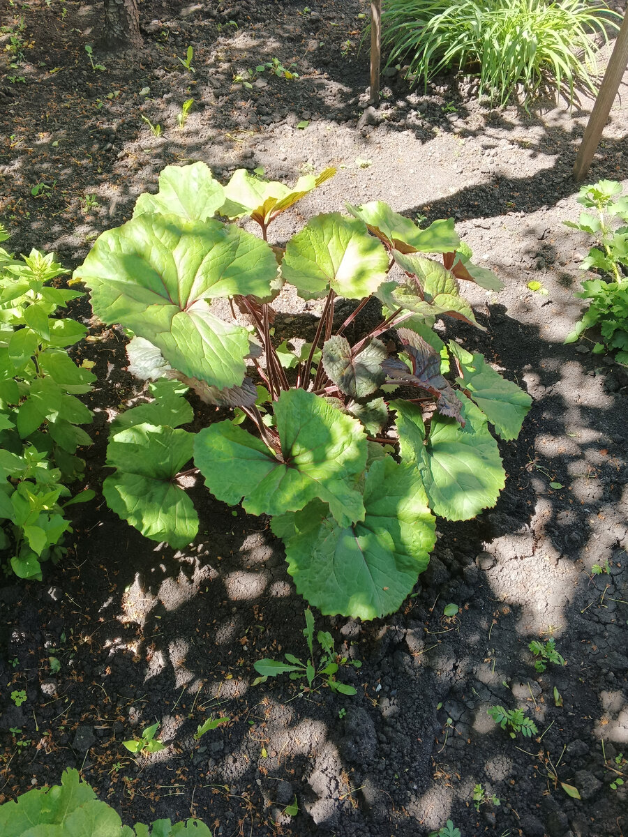 Солнце всё также продолжает светить