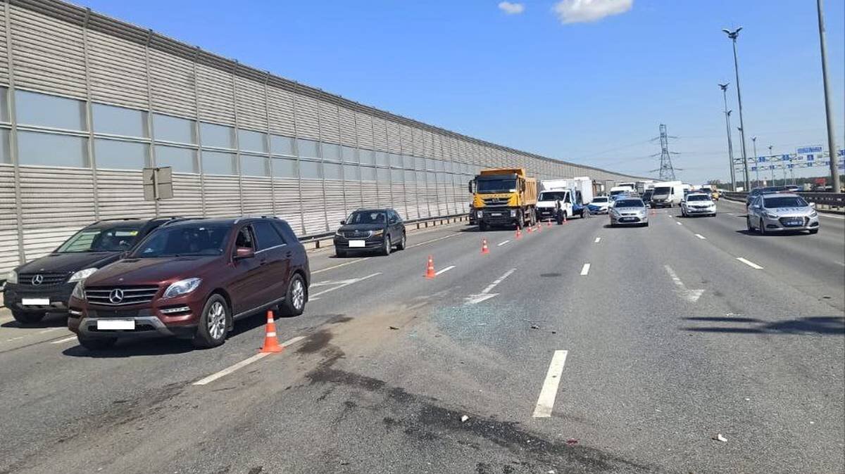    Фото: Пресс-служба ГУ МВД России по Московской области