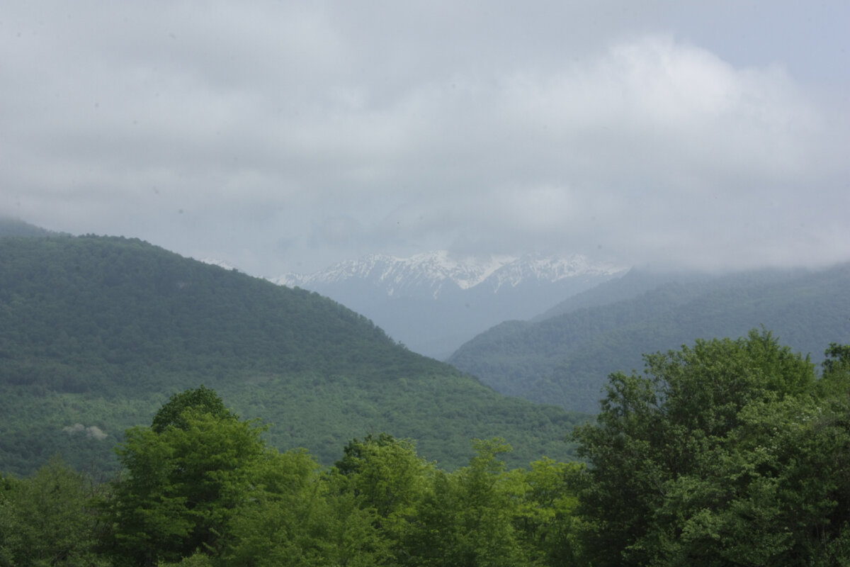 Карта абхазии и соседних государств. Герб сухума. Имя абхазии. Столица абхазии название. Абхазские имена мужские.