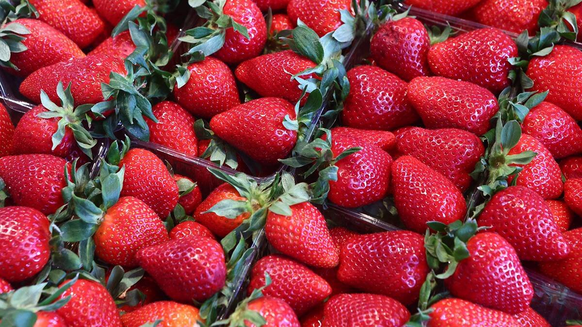    Фото: Ярослав Чингаев / АГН Москва