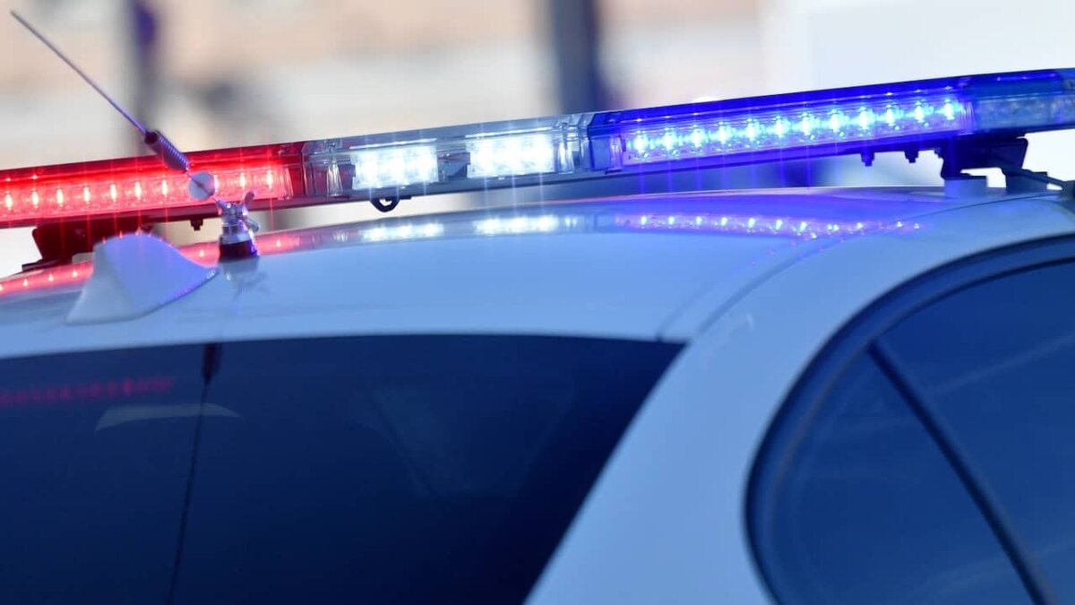 Фото: https://tvzvezda.ru/ (https://mcdn.tvzvezda.ru/storage/news_other_images/2024/05/11/13a5410d35b54c819f47d97c3dd58d0d.jpg)